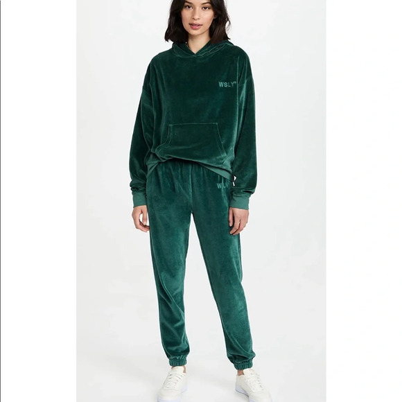 NWT $148 WSLY Eco Plush Classic Pocket Hoodie in Tourmaline Small - Picture 4 of 12